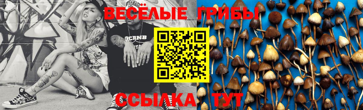 Галлюциногенные грибы Magic Shrooms  Вход с VPN  Королёв  Галлюциногенные грибы мухоморы 
