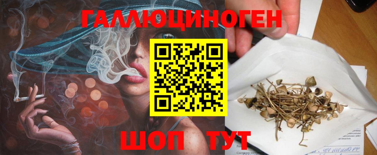 Галлюциногенные грибы GOLDEN TEACHER Королёв